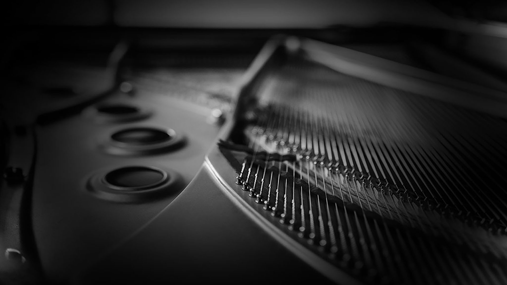 Inside grand piano, strings closeup, nobody. Under raised lid of the royale, chords